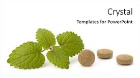  Presentation with herbal medicine - PPT theme with echinacea antibiotics - herbal pills isolated on white background and a white colored foreground