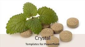  Presentation with herbal medicine - Cool new PPT theme with echinacea antibiotics - herbal pills isolated on white backdrop and a coral colored foreground