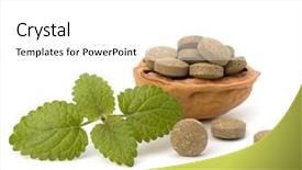  Presentation with herbal medicine - Beautiful PPT layouts featuring echinacea antibiotics - herbal pills isolated on white backdrop and a white colored foreground