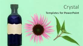  Presentation with alternative medicine - Presentation theme with echinacea-healing-remedy-for-coughs background and a soft green colored foreground