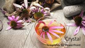  Presentation with tea cup - PPT theme with old logs in ladysmith shoreline background and a violet colored foreground