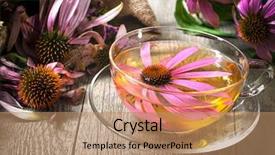  Presentation with echinacea - Cool new presentation with smiling young girl cleanses the skin on her face with a cotton ball backdrop and a yellow colored foreground