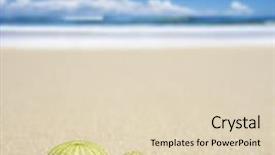 Presentation with sea shells - Colorful PPT theme enhanced with echinoderm - beach scene with two dead backdrop and a lemonade colored foreground