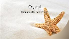  Presentation with white sand - PPT layouts with echinoderm - beautiful starfish on bright white background and a sky blue colored foreground