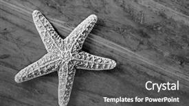  Presentation with wood rustic - Cool new slide deck with echinoderm - black and white photo backdrop and a dark gray colored foreground