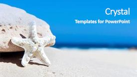  Presentation with starfish - Slide deck with echinoderm - closeup of a starfish background and a teal colored foreground