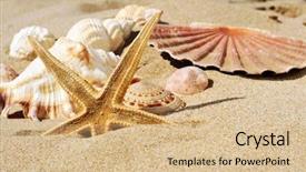  Presentation with pearls and oysters starfish - Colorful slide deck enhanced with echinoderm - closeup of a starfish backdrop and a coral colored foreground