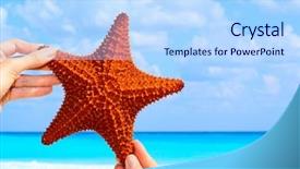  Presentation with starfish - Audience pleasing presentation theme consisting of echinoderm - hand held starfish in front backdrop and a light blue colored foreground