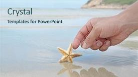  Presentation with hand touching finger digital - Audience pleasing presentation theme consisting of echinoderm - hand touching the starfish backdrop and a sky blue colored foreground