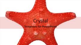  Presentation with starfish - Slides having flag of kurdistan in grunge background and a red colored foreground