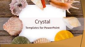  Presentation with shells - Audience pleasing PPT theme consisting of echinoderm - shells on wood background backdrop and a lemonade colored foreground