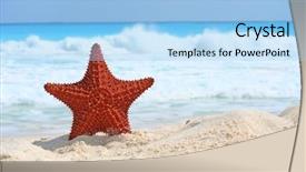  Presentation with starfish - Slides consisting of echinoderm - starfish in the sand background and a light blue colored foreground