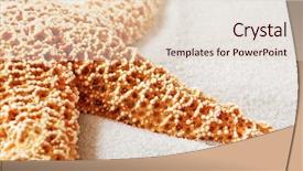  Presentation with white sand - Slides having woman in hat and a hipster man in summer clothes with smartphone taking selfie making funny face studio shot on white background isolated background and a light gray colored foreground