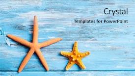  Presentation with dark blue world globe space - Audience pleasing slide deck consisting of echinoderm - two different starfishes backdrop and a light blue colored foreground