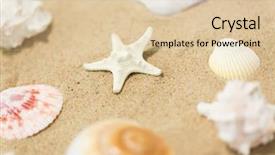  Presentation with holidays - Colorful slide deck enhanced with echinoderm - vacation and summer holidays concept backdrop and a lemonade colored foreground