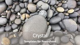  Presentation with tropical beach party - Beautiful slide set featuring echinoderm - wet pebbles on tropical beach backdrop and a gray colored foreground