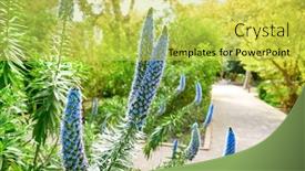  Presentation with purple flowers - Amazing theme having echium-fastuosum-candicans-pride backdrop and a yellow colored foreground