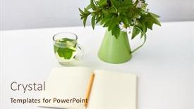  Presentation with organic tea - Colorful presentation enhanced with eco-and-organic-concept-herbal backdrop and a cream colored foreground
