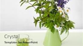  Presentation with organic tea - Presentation design consisting of eco-and-organic-concept-herbal background and a yellow colored foreground