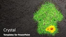  Presentation with eco - Colorful PPT layouts enhanced with eco background with soil and house of green grass backdrop and a dark gray colored foreground