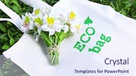  Presentation with eco bag - Presentation theme consisting of eco bag on green grass background and a sky blue colored foreground