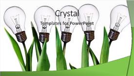  Presentation with brown sugar isolated on white - PPT layouts consisting of eco energy - lamp bulb tulips isolated background and a white colored foreground