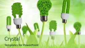  Presentation with eco - Colorful theme enhanced with eco energy bulbs backdrop and a yellow colored foreground