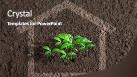  Presentation with live - PPT layouts consisting of eco friendly building - ecological live house growing concept background and a tawny brown colored foreground