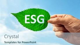  Presentation with environmental leaf - Presentation theme having eco-friendly-clean-green-industry and a  colored foreground