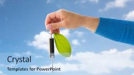  Presentation with eco green car - PPT theme enhanced with eco label - conservation environment people transport background and a light blue colored foreground