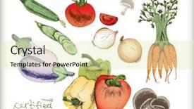  Presentation with organic - Slide set consisting of eco label - organic vegetables set very detailed background and a soft green colored foreground