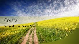  Presentation with eco - PPT theme consisting of eco-land background and a yellow colored foreground