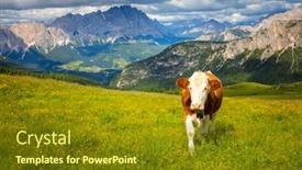  Presentation with cow milk - Presentation theme featuring eco-landscape-with-cow background and a tawny brown colored foreground