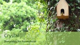  Presentation with house forest - Theme with vegetable pancakes on stone or slate background fried vegetarian cutlets or pancakes the concept of dietary nutrition top view with copy space background and a light gray colored foreground