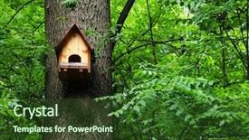  Presentation with house forest - Colorful PPT layouts enhanced with eco living - bird house in a forest backdrop and a tawny brown colored foreground
