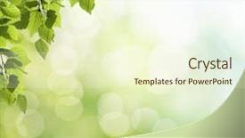  Presentation with abstract green - Cool new PPT theme with eco nature green and blue abstract defocused background with sunshine backdrop and a cream colored foreground