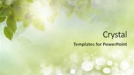  Presentation with green nature - Colorful presentation design enhanced with eco nature green and blue backdrop and a soft green colored foreground