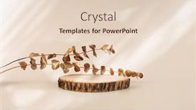  Presentation with wood rustic - Presentation theme consisting of eco-rustic-wood-circle-disc background and a lemonade colored foreground