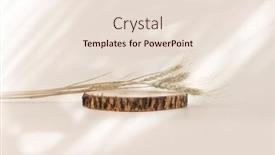  Presentation with wood rustic - Slide deck having eco-rustic-wood-circle-disc background and a lemonade colored foreground