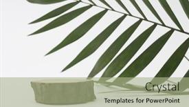  Presentation with wood rustic - PPT theme with eco-rustic-wood-stump-disc background and a mint green colored foreground