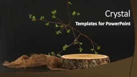  Presentation with rustic wood - Slides consisting of eco-rustic-wood-stump-disc background and a dark gray colored foreground