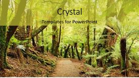  Presentation with tourism australia - Colorful PPT theme enhanced with eco tourism - panorama of path backdrop and a yellow colored foreground