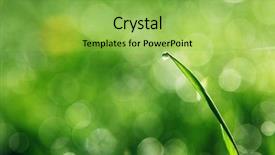  Presentation with spring water - Cool new slide deck with eco water - close up of fresh morning backdrop and a yellow colored foreground