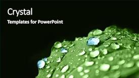  Presentation with green leaf - Slides having eco water - green leaf with blue dew background and a black colored foreground