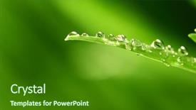  Presentation with eco - Presentation theme enhanced with eco water - macro dew background and a  colored foreground