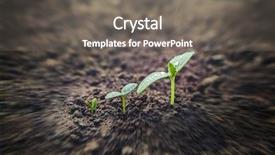  Presentation with business growing - PPT theme with ecofriendly - green seedling growing background and a gray colored foreground