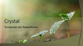  Presentation with business growing - Slide set consisting of ecofriendly - green seedling growing background and a mint green colored foreground