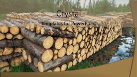  Presentation with storage - Colorful PPT layouts enhanced with ecofriendly - timber storage log storage backdrop and a coral colored foreground