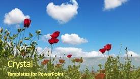  Presentation with rural tourism concept - Amazing slide deck having ecological and rural tourism backdrop and a tawny brown colored foreground