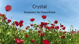  Presentation with rural tourism - Audience pleasing PPT layouts consisting of ecological and rural tourism backdrop and a light blue colored foreground